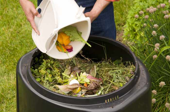 Compost kitchen garden composting beginners containers